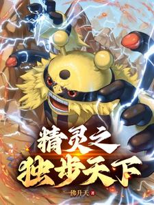 精灵宝可梦之登神长街